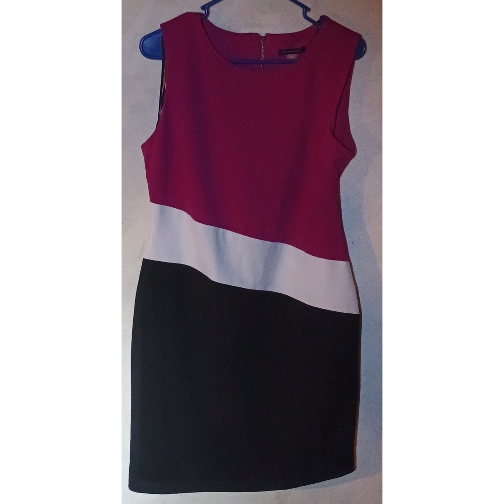 Tommy Hilfiger Pink and Black Colorblock Mini Dress
